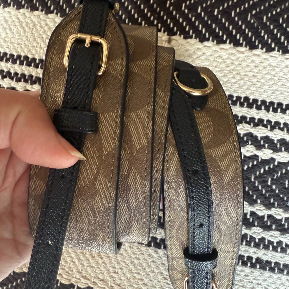 Coach Tan and Black Signature Belt